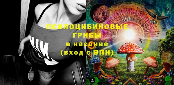 первитин Горняк
