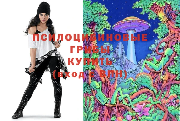 первитин Горняк