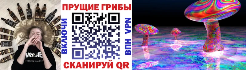 Купить закладки  Петровск  Псилоцибиновые грибы мухоморы 